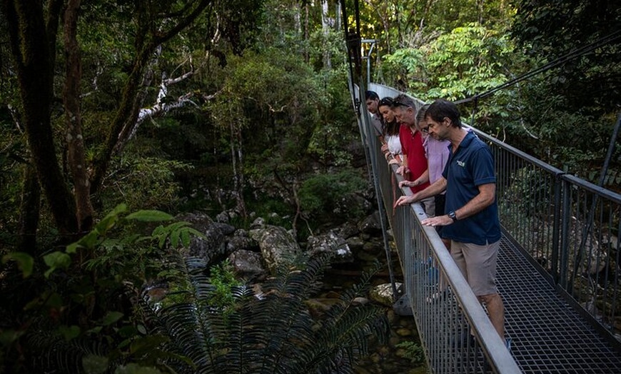 Image 3: Half Day Tour to Daintree Rainforest and Mossman Gorge
