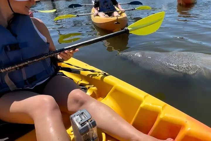 Manatee Discovery Anna Maria Island