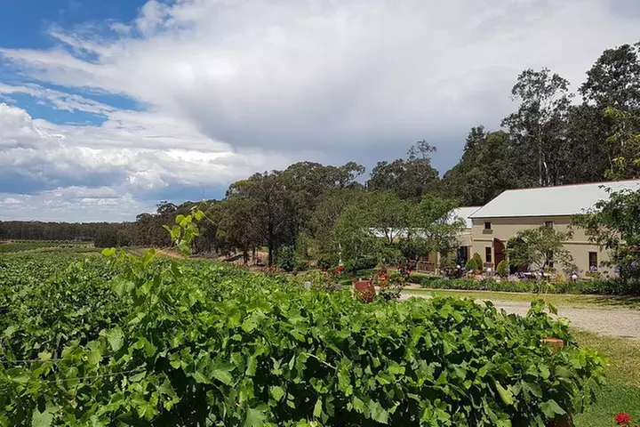 Tintilla Estate: Wine Tasting with a Meat and Cheese Platter