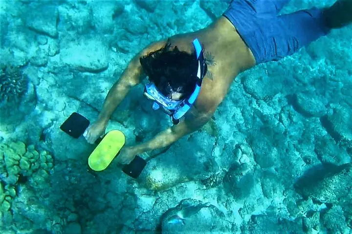 Sensational Sea Scooter Rentals