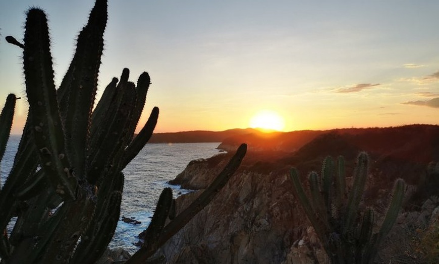 Image 5: Private Oaxaca Tour From Mx City Colonial Towns & Coastal Beauty