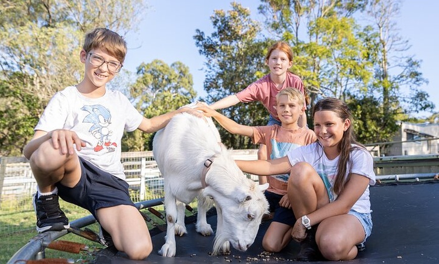 Image 7: Trevena Glen Farm Animal Experience