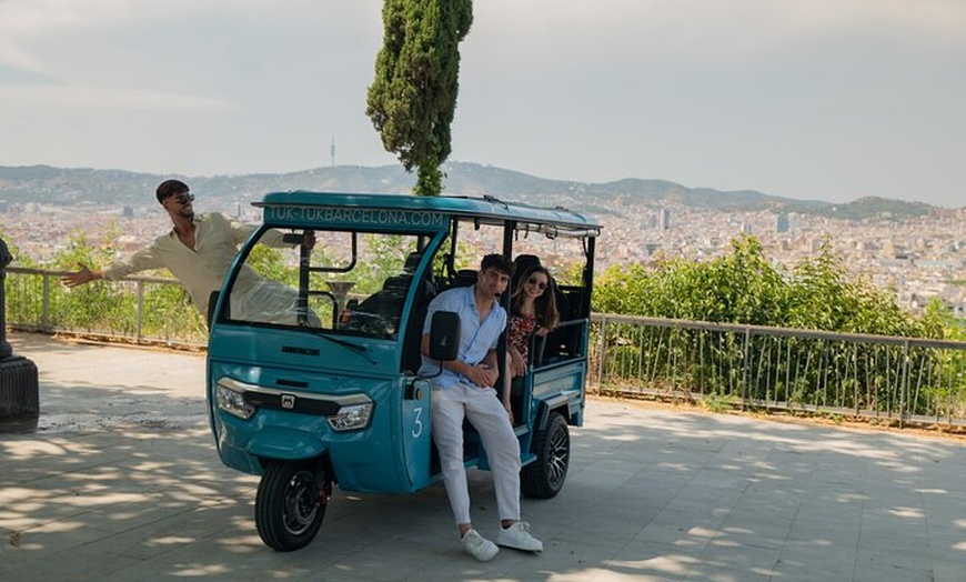 Image 18: Tour panorámico privado por Barcelona
