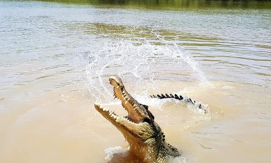 Image 8: Jumping Crocodile Experience