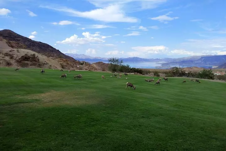 Small Group Hoover Dam, Lake Mead and Boulder City Tour