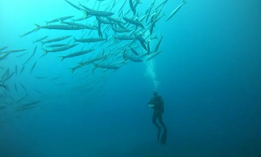 Image 6: Prueba Buceo desde Barco