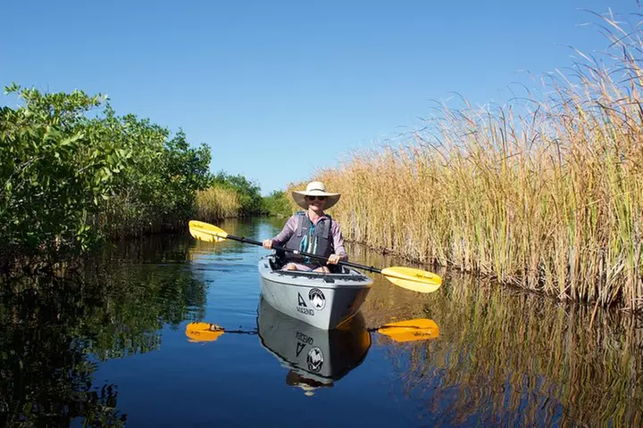 Manatees and Mangrove Tunnels Small Group Kayak Tour