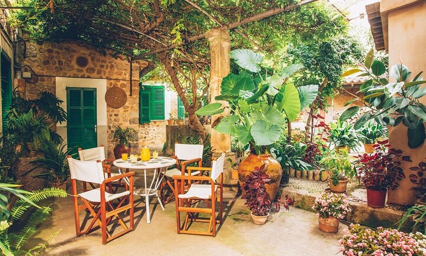 Image 8: Visita Guiada de Cata en Casa del siglo XVI y Fábrica de Aceite de ...