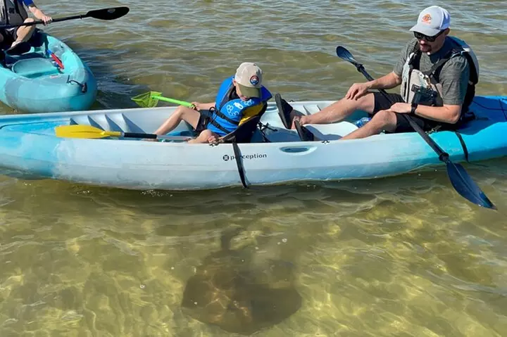 Wildlife Refuge Manatee, Dolphin & Mangrove Kayak or Paddleboarding...