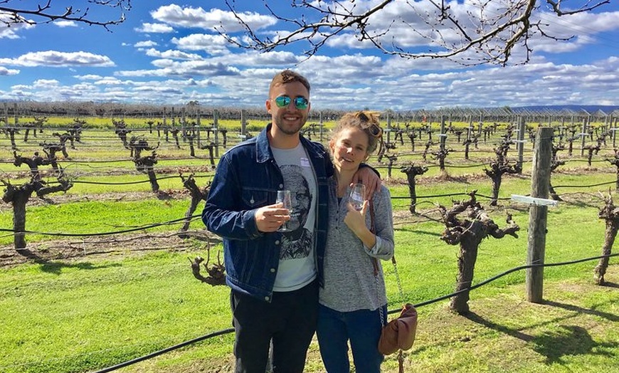 Image 4: Swan Valley Tour from Perth: Wine, Beer and Chocolate Tastings