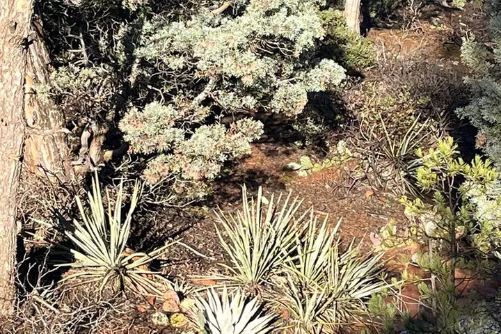 Sedona Magical Sightseeing Highlight Tour- 5 Stars