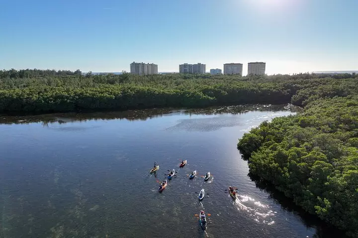 Sarasota Mangrove Tunnel Guided Kayak Adventure