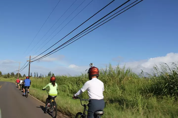 Predawn-Morning Haleakala Bike Tour 6,500 to Sea Level