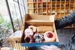 Seattle Delicious Donut Adventure & Walking Food Tour - Second Medium