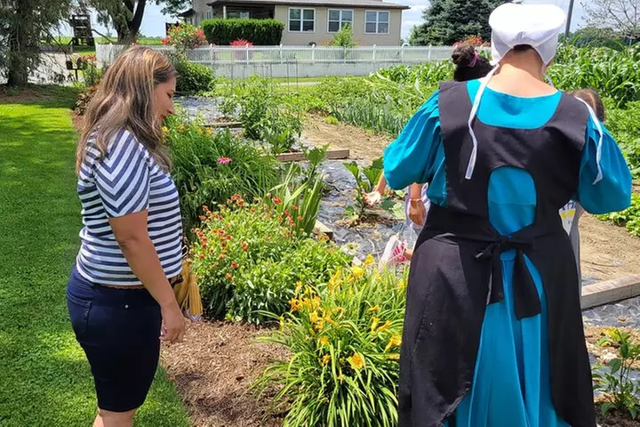 Authentic Tour & Meal with the Amish!