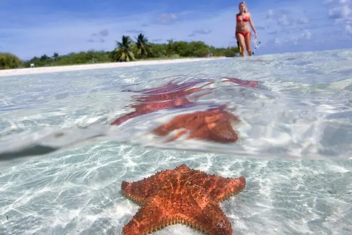 Full day tour to El Cielo in Cozumel Snorkeling Lunch and Drinks - Primary Image