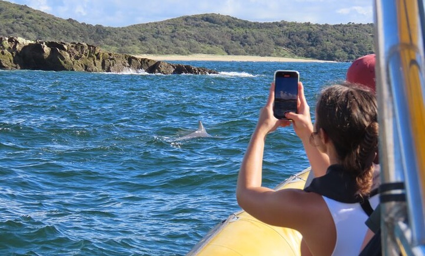 Image 8: Noosa Oceanrider Scenic Dolphin Safari