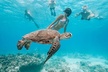 Oahu Allstar Circle Island Tour: Dole, Turtles. Blowhole, Fun - Second Medium
