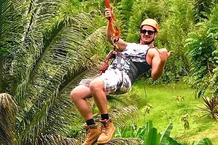 5 Line Jungle Zipline Eco Adventure
