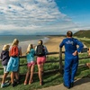 Image 4: From Cardiff: Golden Gower Coast, Swansea & Mumbles Day Tour