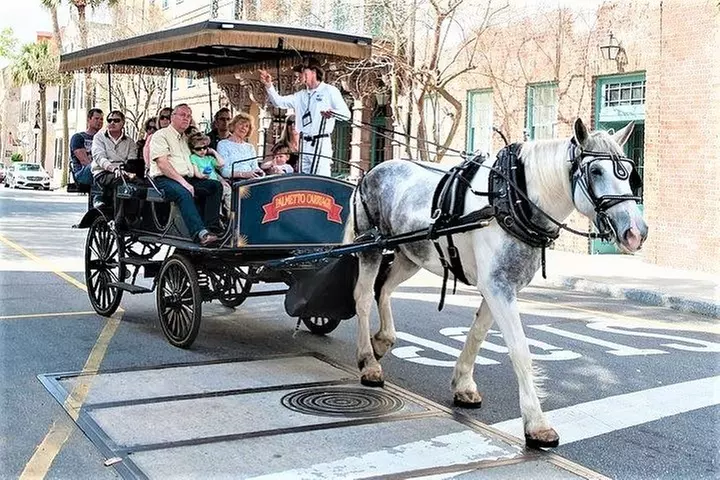Evening Horse-Drawn Carriage Tour of Downtown Charleston - Primary Image