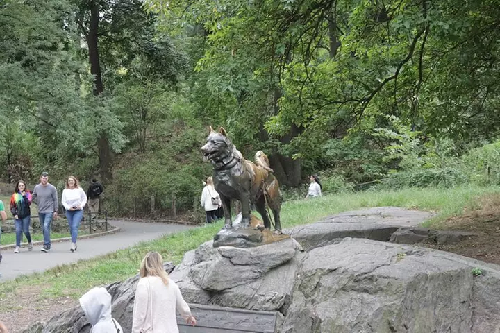 Central Park Electric Scooter Rentals