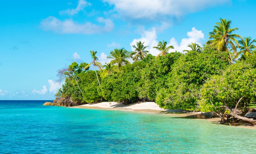 Image 12: ✈ RÉPUBLIQUE DOMINICAINE | St Domingue - Séjour Baleines à Bosse 4*...