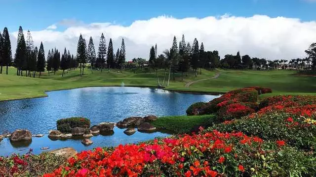 Online Booking - Round of Golf at Waikele Country Club - Primary Image