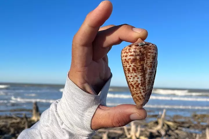 4 Hour Kice Island Shelling Trip