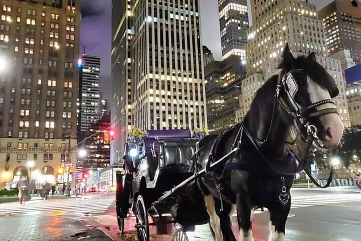 New York City Christmas Lights Private Horse Carriage Ride