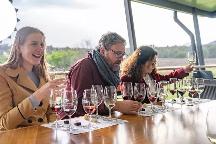 Scenic Hunter Valley Tour with Wine and Cheese Tastings