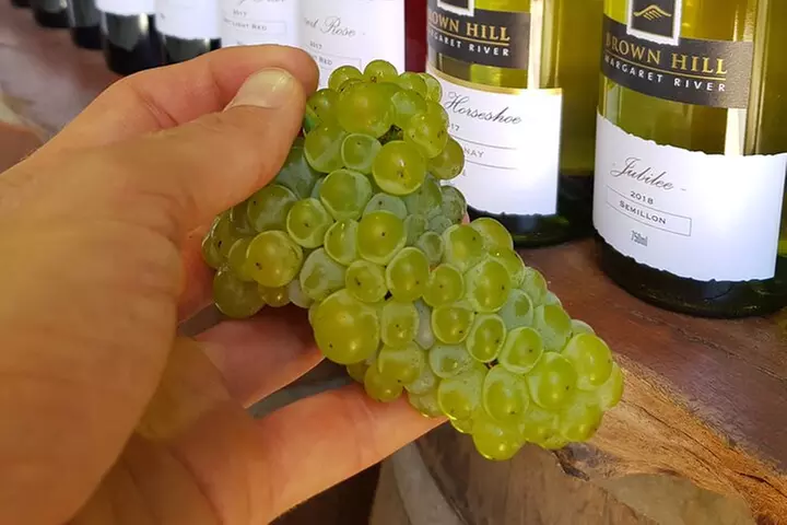 Secret Delights: Curated Wine, Coffee & Forest Experience