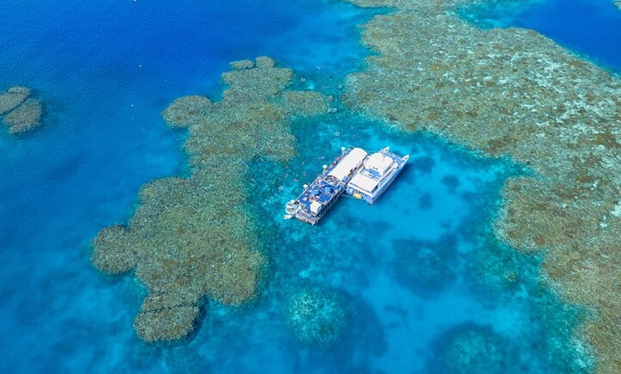 Image 2: Sunlover Reef Cruises Cairns Great Barrier Reef Experience