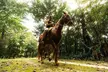 Half-day Cancun: Horseback riding, ATV, zipline & cenote - Image 2