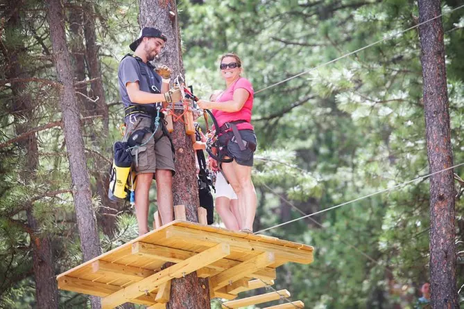 Aerial Adventure Park - Primary Image