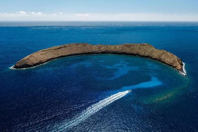 2hr Molokini Snorkel Trip - Primary Image