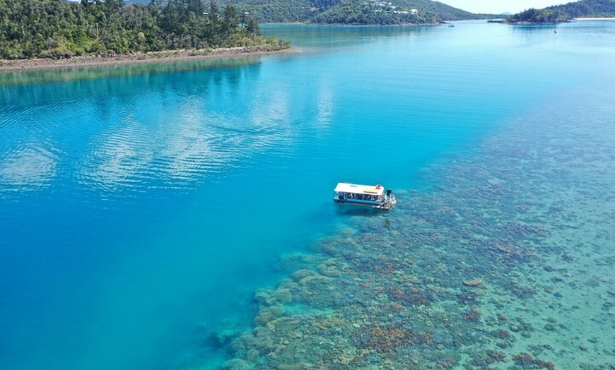 Image 2: Airlie Beach Glass Bottom Boat Tour