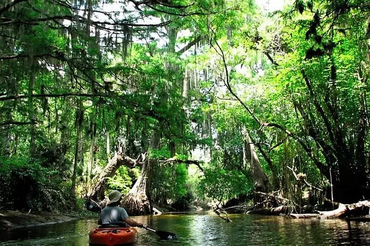 Wild & Scenic Loxahatchee River Guided Tour - Primary Image