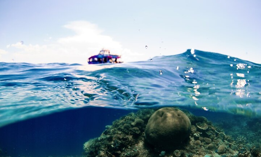 Image 16: Half Day Great Barrier Reef Snorkeling Tour
