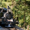 Image 8: Puffing Billy Steam Train Rainforest Tour and Yarra Valley Treats