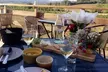 Visite d'un vignoble avec repas et vin à Carcassonne - Second Medium