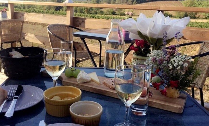 Image 5: Visite d'un vignoble avec repas et vin à Carcassonne