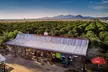 Private Tour: Arizona Foodie Trail - Second Medium