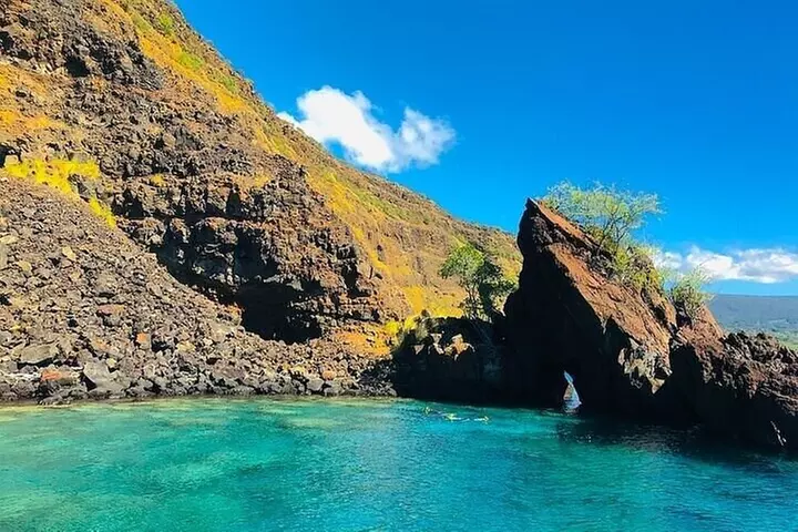 Dolphin, Sea Cave & Captain Cook Snorkel Combo in Kealakekua Bay