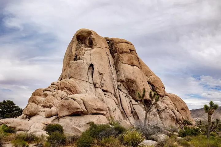 Joshua Tree National Park Self-Guided Driving Audio Tour