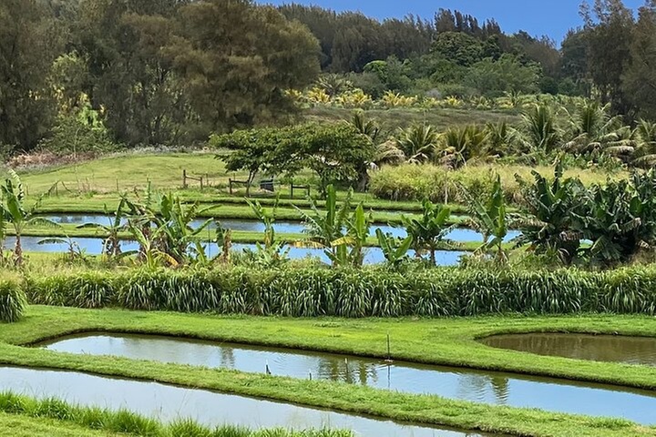 ATV Ranch ride Big Island Hawaii
