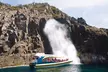 Full-Day Bruny Island Cruises Day Tour from Hobart - Image 2