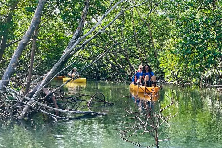 Exclusive Relax & Explore Pedal Kayak Tour Marco Island & Naples