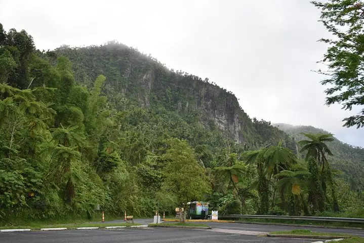 Day Trip to El Yunque Tropical Rainforest from San Juan