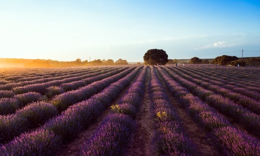 Image 2: Tour España Interior Túneles y Fortalezas desde Madrid